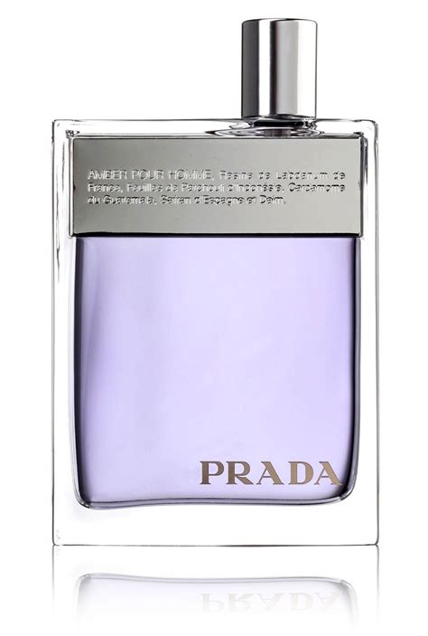 prada amber pour homme refill|prada amber discontinued.